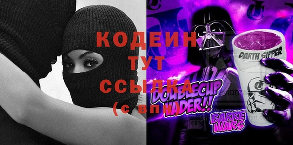 сатива Няндома