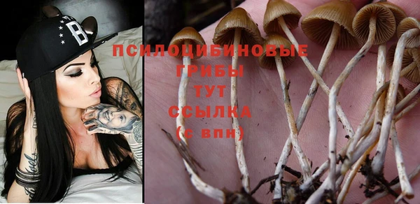 дмт Абинск